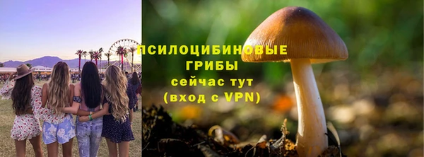 экстази Богданович