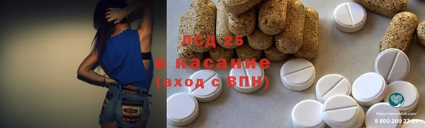 ГАЛЛЮЦИНОГЕННЫЕ ГРИБЫ Белоозёрский