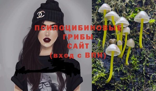мяу мяу мука Беломорск