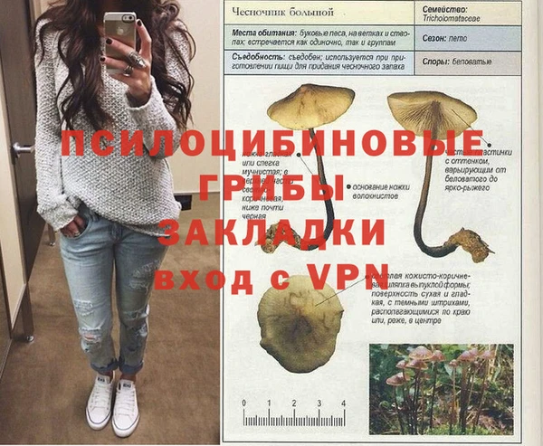 мяу мяу мука Беломорск