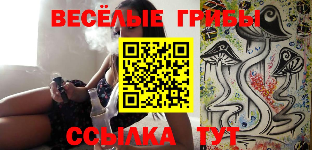 Великий Устюг  Псилоцибиновые грибы Magic Shrooms  Вход с VPN 